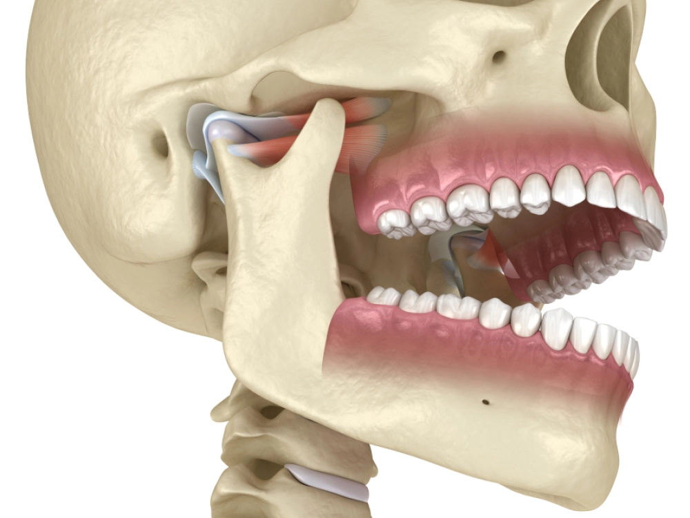 Articulación Temporomandibular (ATM)